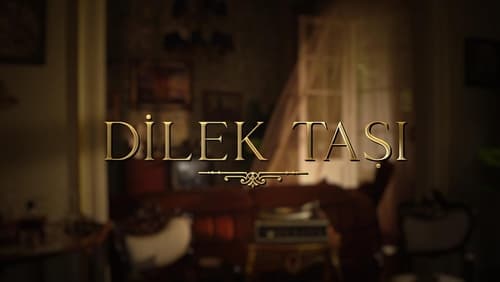 Dilek Taşı 14.Bölüm izle